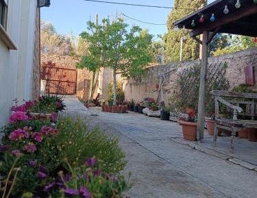 Two-Bedroom Family Apartment