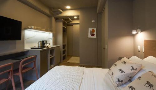 One-bedroom Loft Apartment 