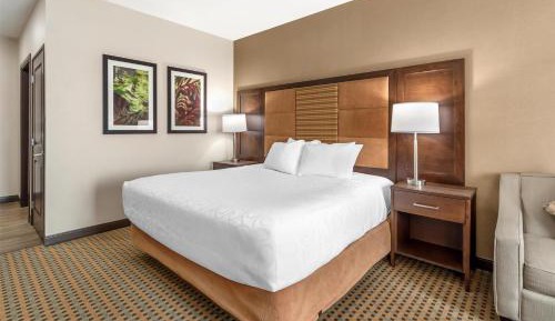 King Room with Sofa Bed