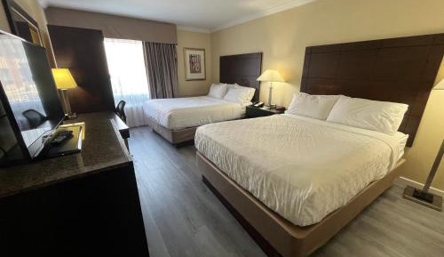 Quadruple Room with Two Queen Beds - Non Smoking