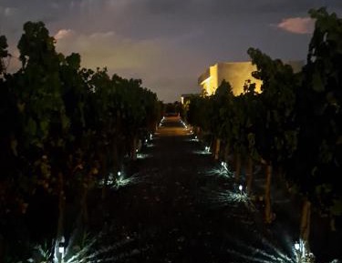 Suite with Mountain View