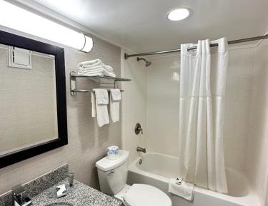 Deluxe King Suite