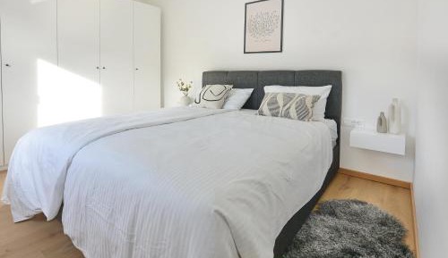 Superior One-Bedroom Apartment with Balcony