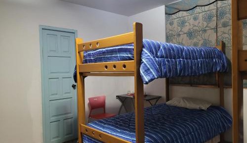 Single Bed in 6-Bed Dormitory Room