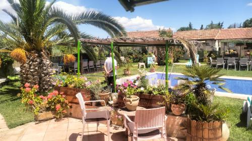 King Room with Pool View