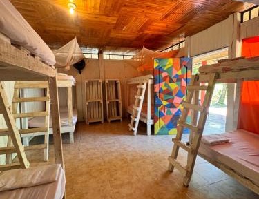 Bed in 8-Bed Dormitory Room