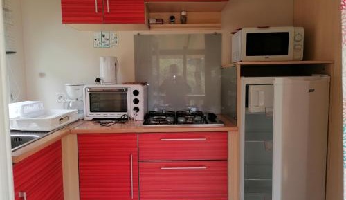 Mobile Home