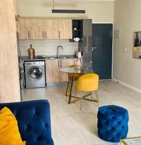 Deluxe One-Bedroom Apartment