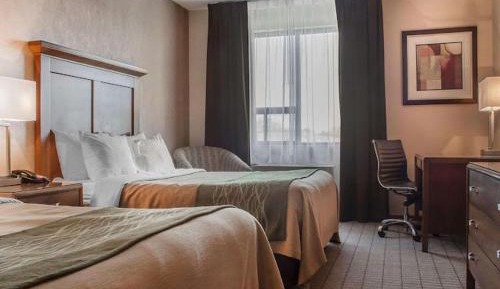 Queen Room
