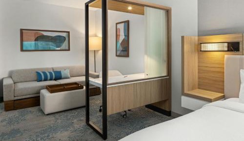 King Studio Suite with Sofa Bed