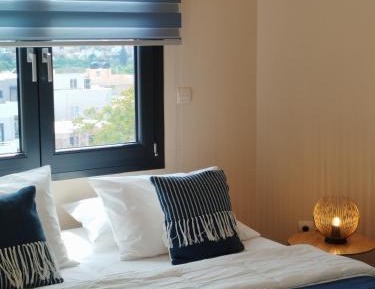 Deluxe One-Bedroom Apartment with City View