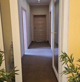 Superior One-Bedroom Apartment with Balcony