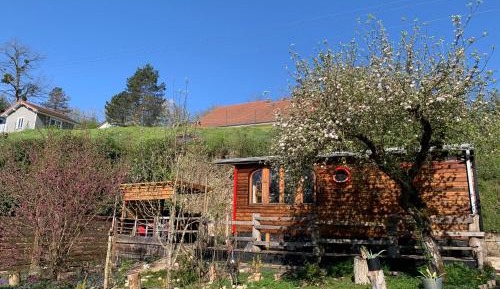 One-Bedroom House