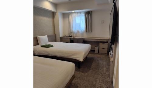 Deluxe Twin Room - Non-Smoking