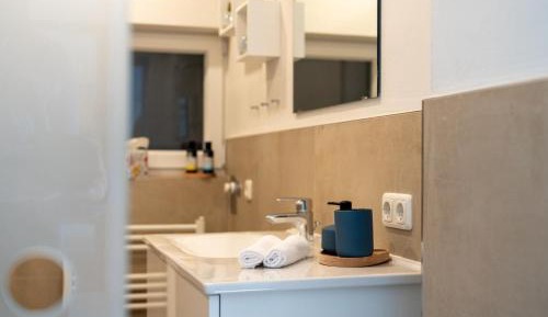 Apartment with Shower