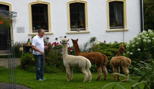 Superior One-Bedroom Apartment