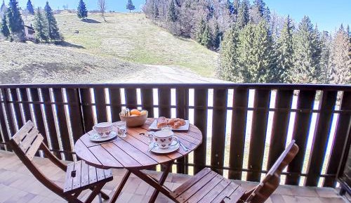 One-Bedroom Apartment with Terrace