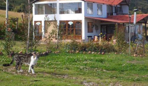 Standard Villa