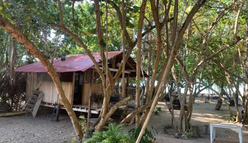 Bungalow - Beach Front