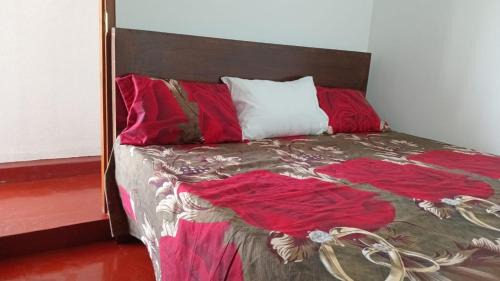 Standard Double Room with Fan