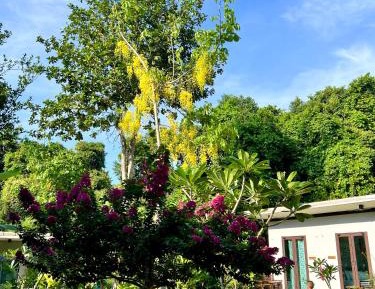 Two-Bedroom Bungalow