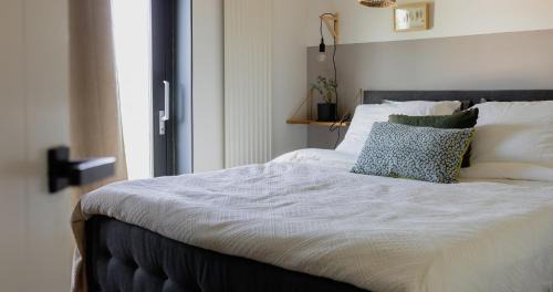 Standard Double Suite