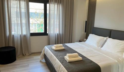 Deluxe One-Bedroom Apartment
