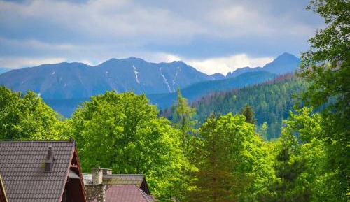 Triple Room with Mountain View