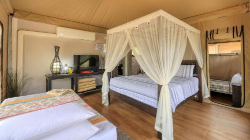 Glamping Tent