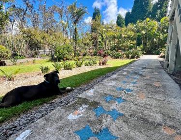 Corner Room with King Bed