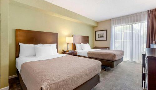 Standard Double Room with Two Double Beds - Non-Smoking