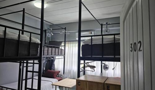 Single Bed in 6-Bed Dormitory Room