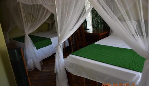 Twin Room with Private Bathroom