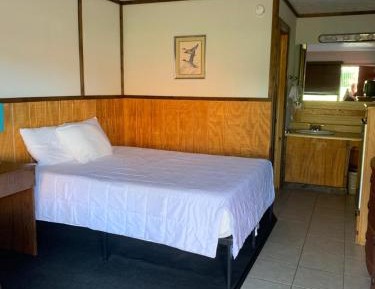 Single Room with Park View