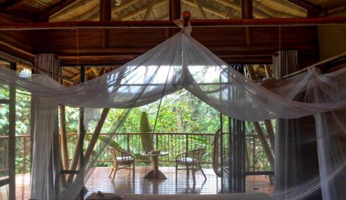 Deluxe Double or Twin Room with Garden View
