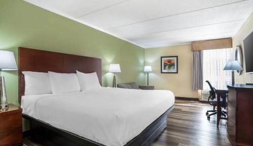 King Room - Non-Smoking