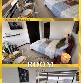 Standard Suite