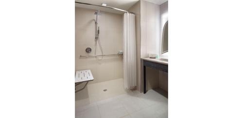 King Room with Roll-in Shower - Mobility Accessible