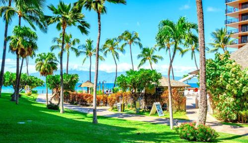 KBM Resorts   FREE CAR   Kaanapali Shores   Ground Floor, 2-Bedroom Condo - Steps to Pool &amp; Beach KS-155