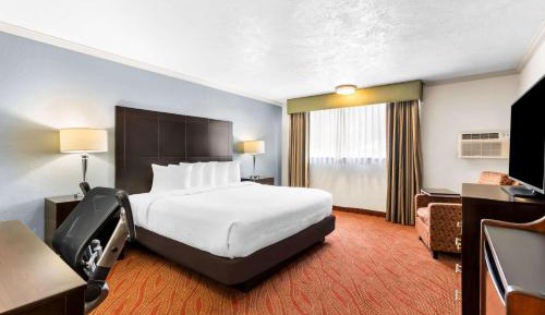 King Room with Roll-In Shower - Disability Access