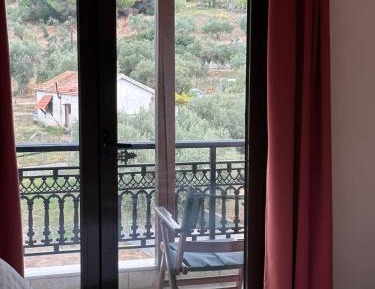 Large Double or Twin Room