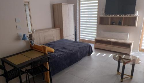 Studio with Terrace