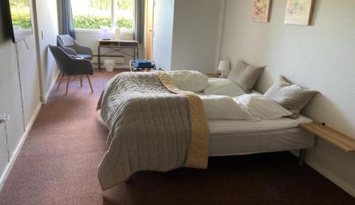 Basic Double Room