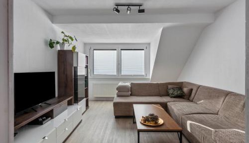 Superior One-Bedroom Apartment