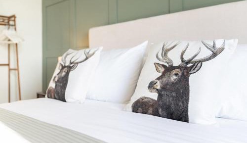 King Room with Sea View