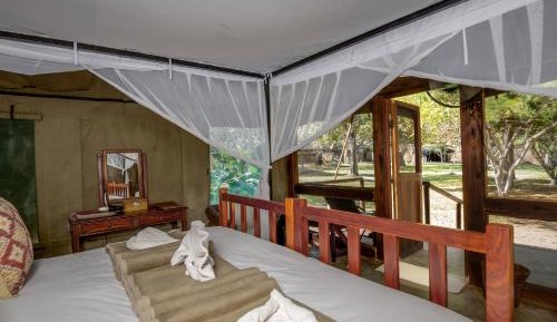Tent with Forest View