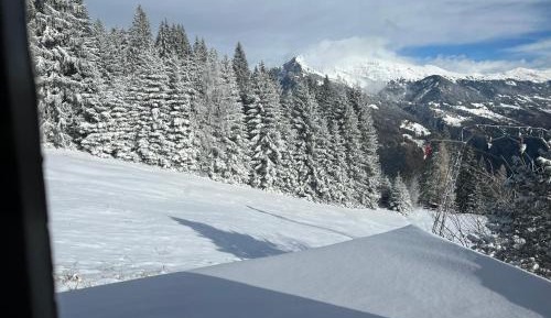 Double Room with Mountain View