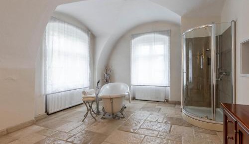 Deluxe One-Bedroom Apartment