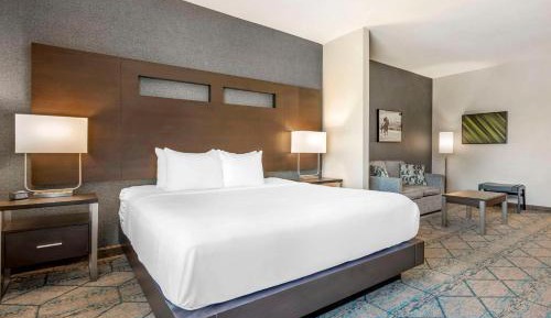 King Suite with Sofa - Non Smoking