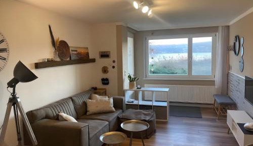 Superior One-Bedroom Apartment